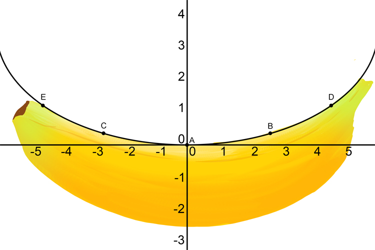 Bananas are shaped like parabolas